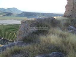 Castillo de Alcala 2009